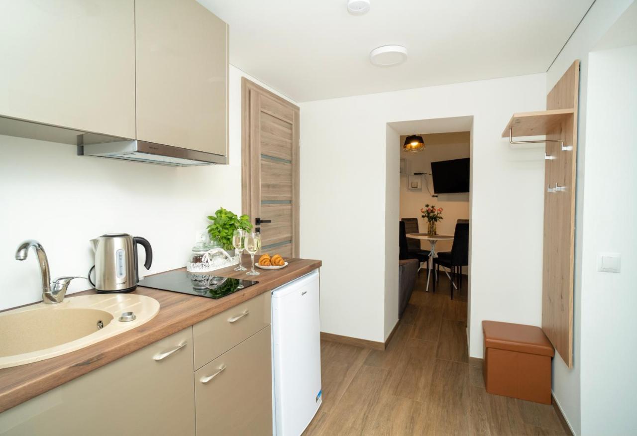 Downhill Apartment On The Groundfloor Kaunas Exteriér fotografie