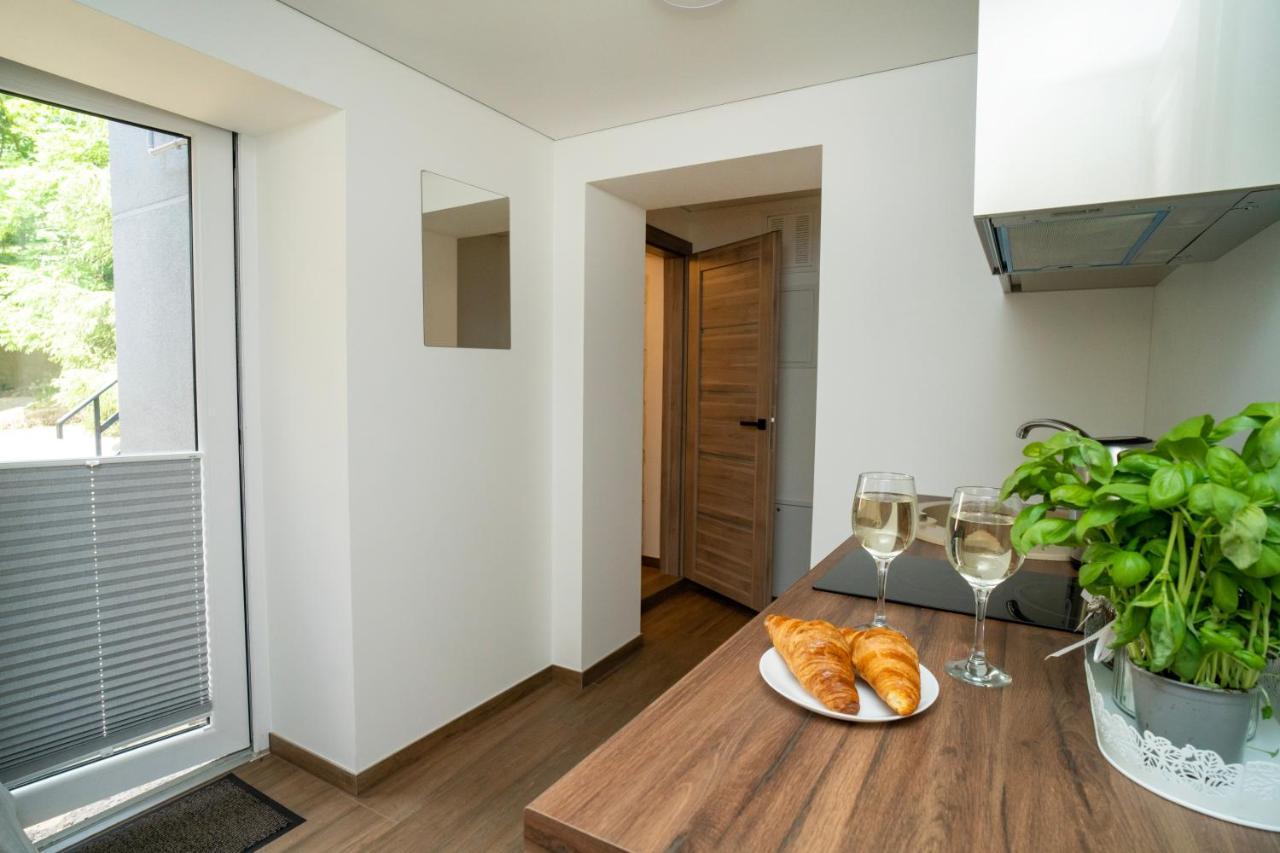 Downhill Apartment On The Groundfloor Kaunas Exteriér fotografie